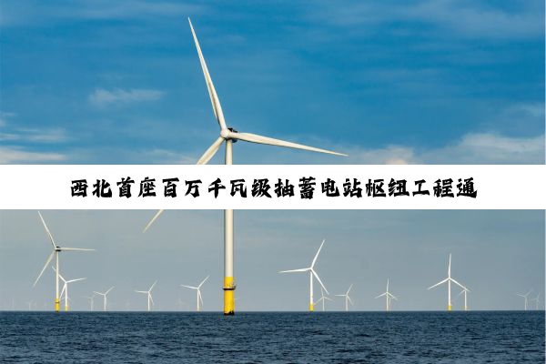 西北首座百万千瓦级抽蓄电站枢纽工程通过验收